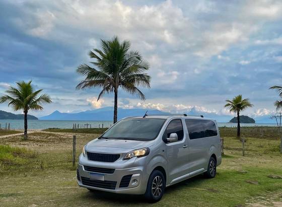 PEUGEOT EXPERT 1.6 BLUEHDI DIESEL BUSINESS VITRE MANUAL